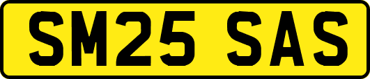 SM25SAS