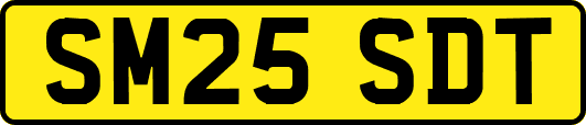 SM25SDT