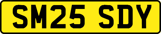 SM25SDY