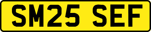 SM25SEF