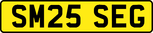 SM25SEG