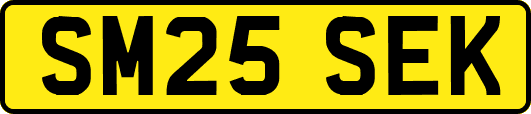 SM25SEK