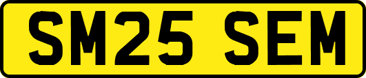 SM25SEM