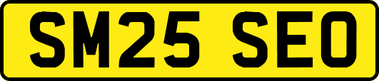 SM25SEO