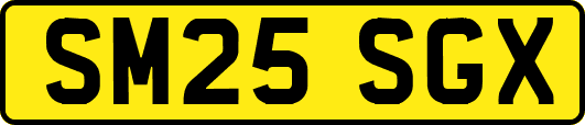 SM25SGX