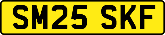 SM25SKF