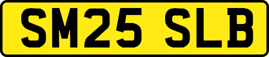 SM25SLB