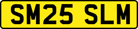 SM25SLM