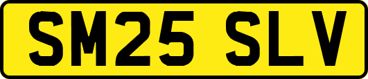 SM25SLV