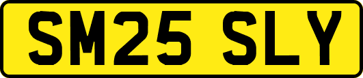 SM25SLY
