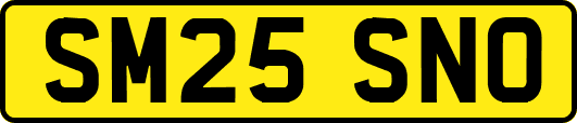SM25SNO