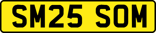 SM25SOM