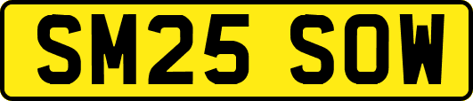 SM25SOW