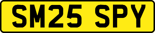 SM25SPY