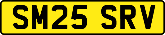 SM25SRV
