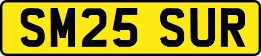 SM25SUR