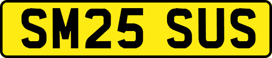 SM25SUS