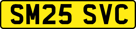 SM25SVC