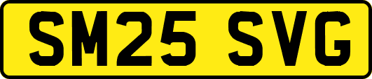 SM25SVG