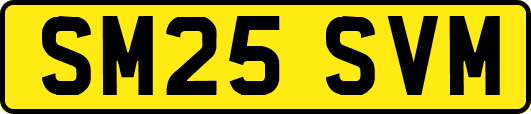 SM25SVM