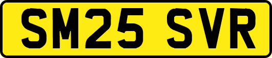 SM25SVR
