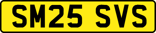 SM25SVS