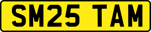 SM25TAM