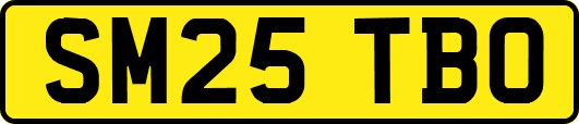 SM25TBO