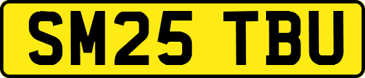 SM25TBU