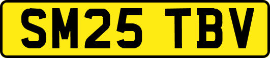 SM25TBV