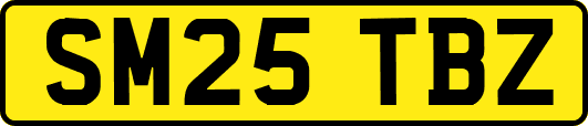 SM25TBZ