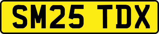 SM25TDX