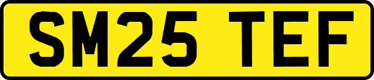 SM25TEF