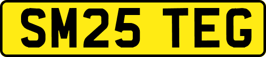 SM25TEG