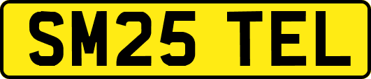 SM25TEL