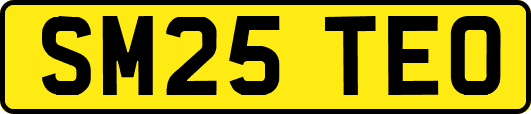 SM25TEO