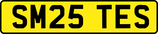 SM25TES