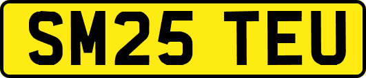 SM25TEU