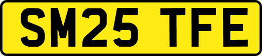SM25TFE