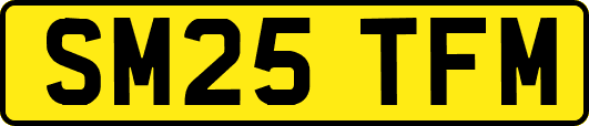 SM25TFM