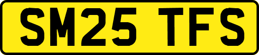 SM25TFS