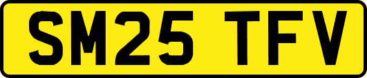 SM25TFV