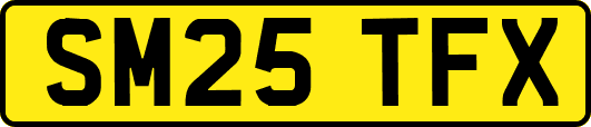 SM25TFX