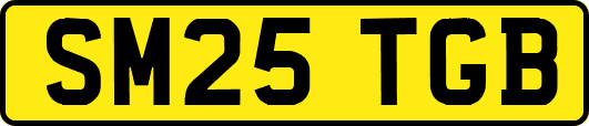 SM25TGB