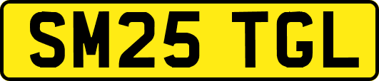SM25TGL