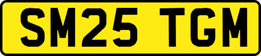 SM25TGM