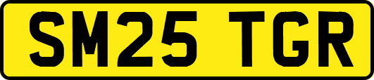 SM25TGR