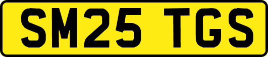 SM25TGS
