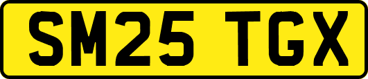 SM25TGX