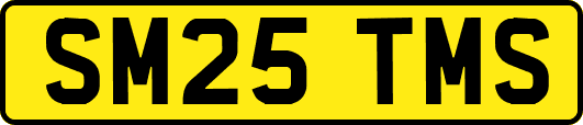 SM25TMS